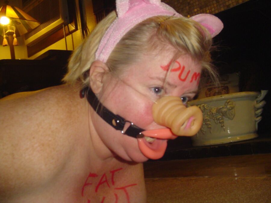 Free porn pics of pig humiliation 20 of 28 pics