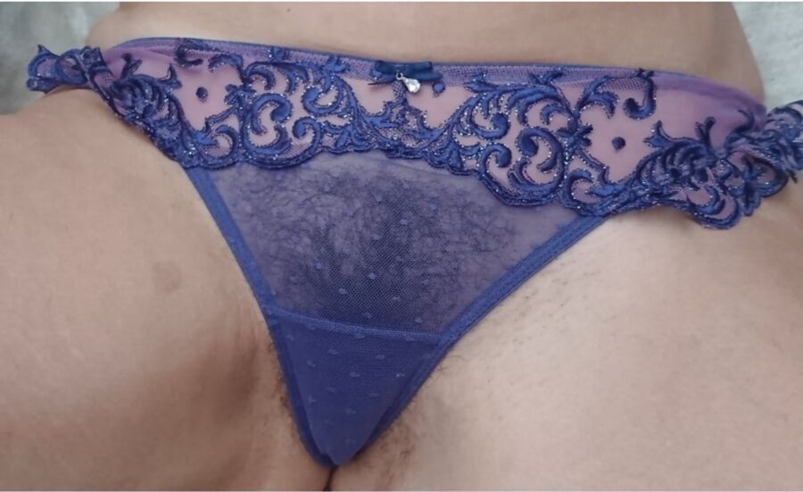 Culotte transparente chatte poilue – Hairy Porn Pic