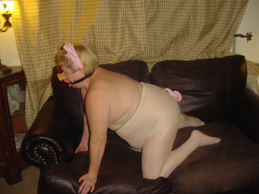 Free porn pics of pig humiliation 15 of 28 pics