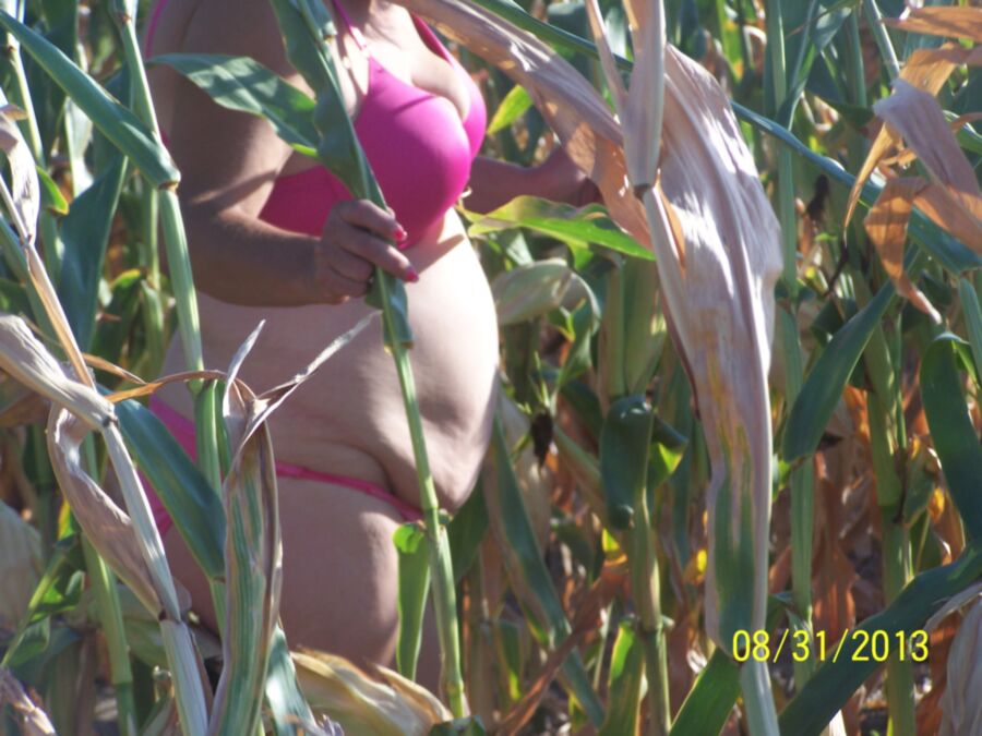 Free porn pics of got caught in a corn field 3 of 13 pics