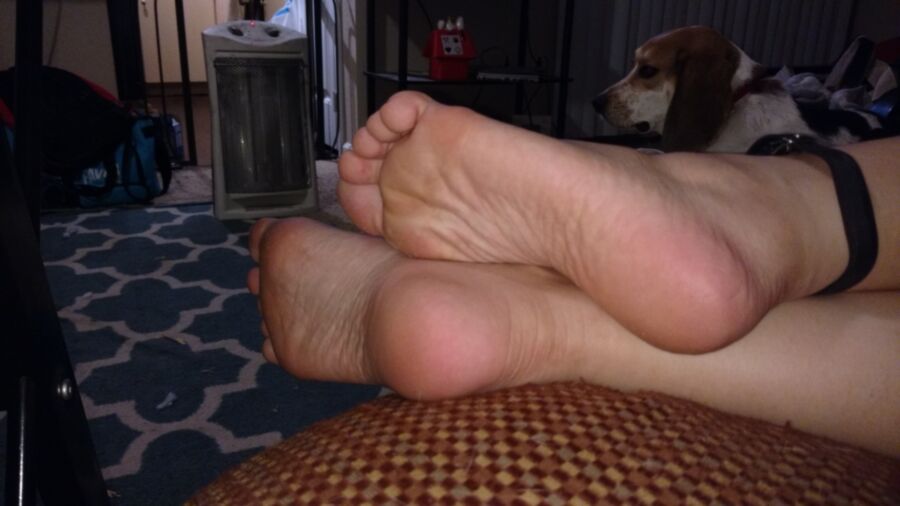 Free porn pics of Wife feet and cumshot 4 of 29 pics