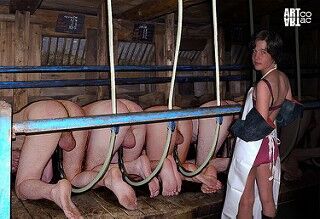 Free porn pics of what pigs are for 15 of 152 pics