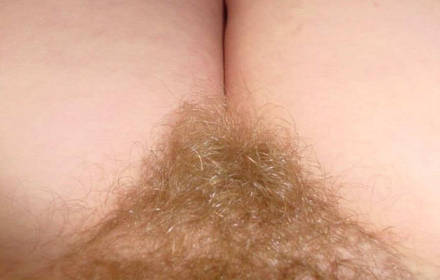 Free porn pics of Rare Blond Pubes 10 of 24 pics