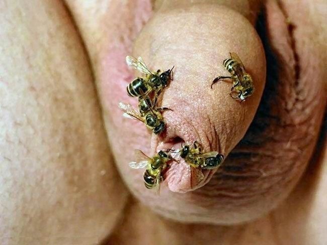 Free porn pics of Boys and Insects 9 of 11 pics