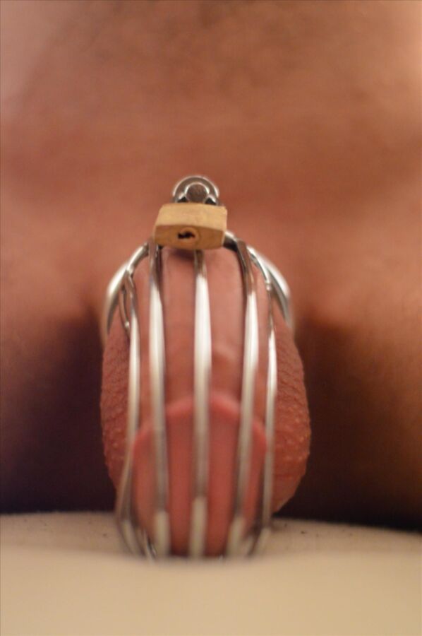 Free porn pics of chastity cages 4 of 9 pics