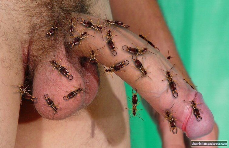 Free porn pics of Boys and Insects 7 of 11 pics