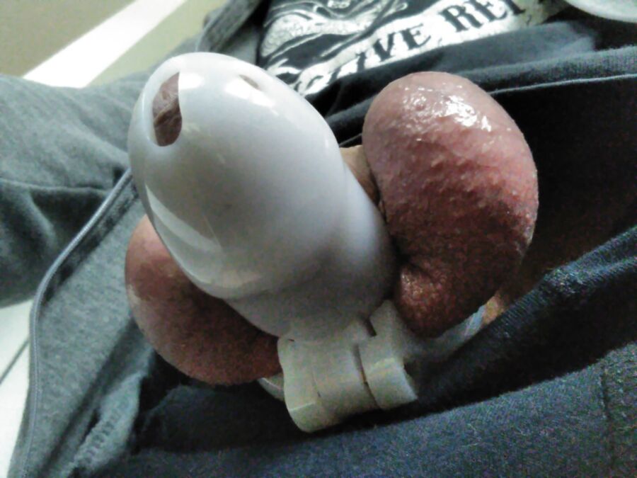 Free porn pics of Cock in upside down chastity cage 5 of 9 pics