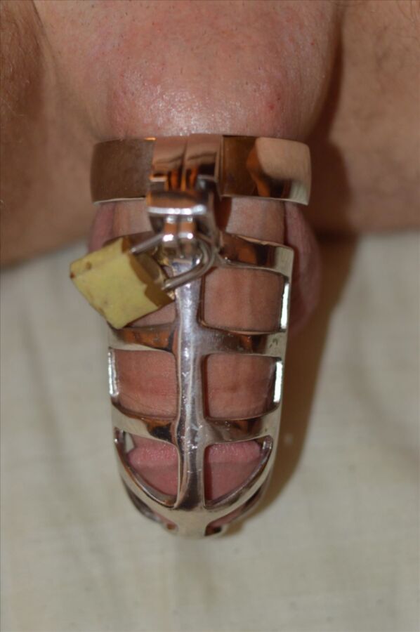 Free porn pics of chastity cages 6 of 9 pics