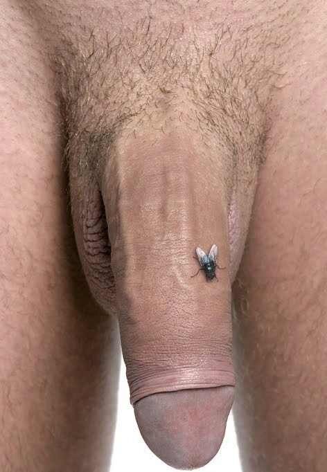 Free porn pics of Boys and Insects 6 of 11 pics