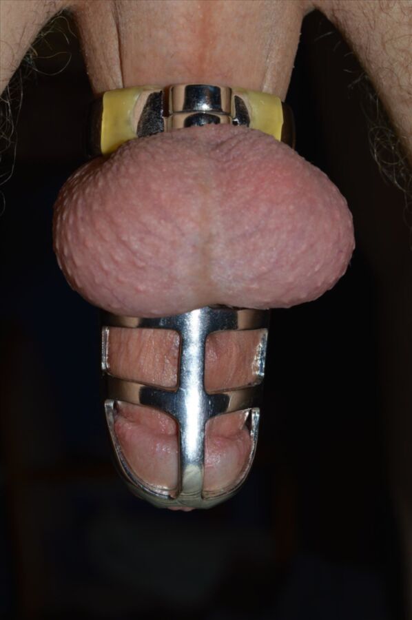 Free porn pics of chastity cages 2 of 9 pics