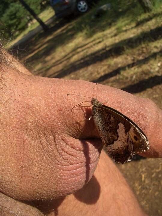Free porn pics of Boys and Insects 10 of 11 pics