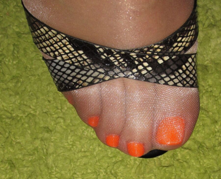 Free porn pics of Tan shiny pantyhose, hihg heels and neon orange hybrid pedicure 1 of 10 pics