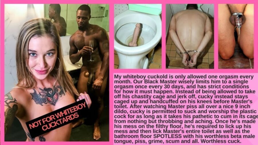 Free porn pics of Sissy Losers - Cuckboy Toilet Treat 1 of 3 pics