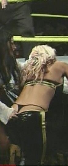 Free porn pics of WWE DIVAS (Brie Bella, Beth Phoenix, Mickey James and more) thon 3 of 53 pics