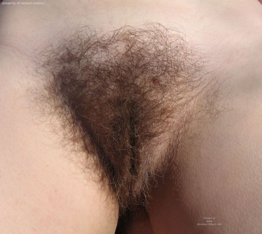 Free porn pics of Properly Hairy Pussy - Close-Up 16 of 19 pics