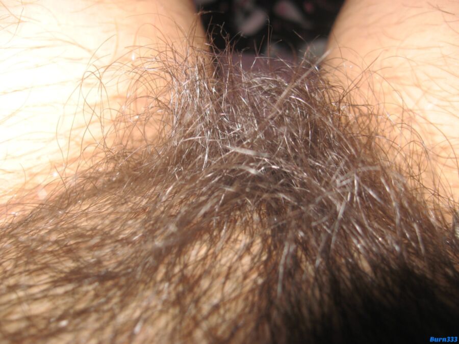 Free porn pics of Properly Hairy Pussy - Close-Up 12 of 19 pics
