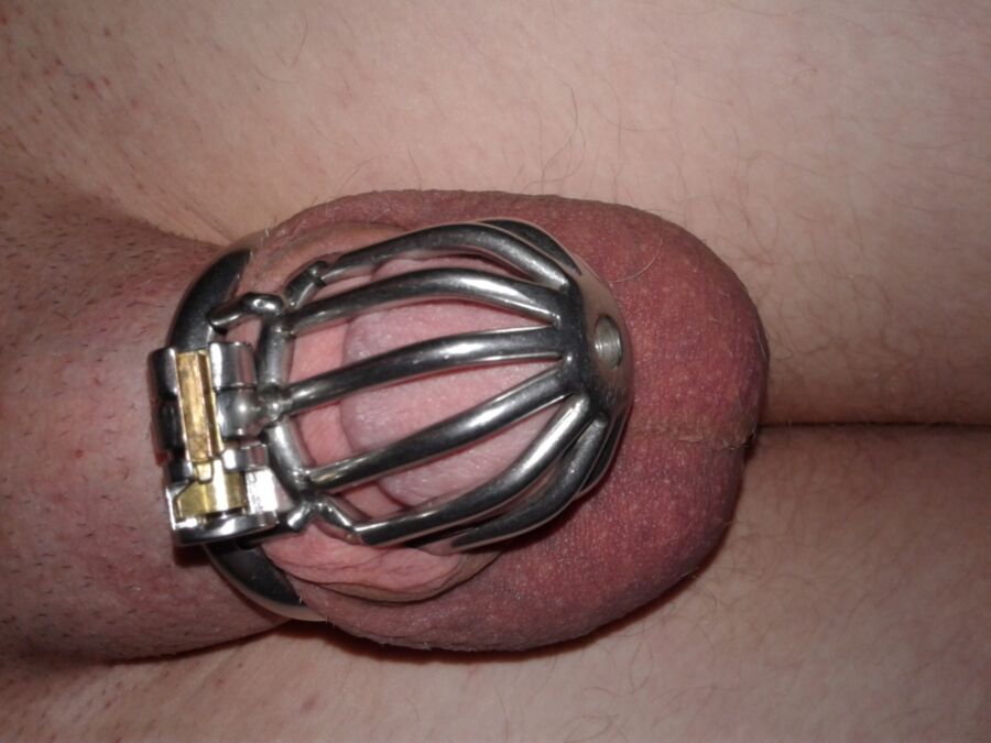 Free porn pics of New Chastity Cage 3 of 4 pics