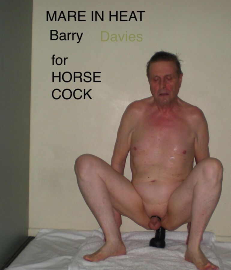 Free porn pics of Barry for Horse Cock 21 of 24 pics