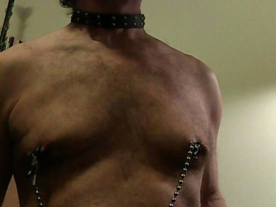 Free porn pics of Sissy Tied balls, slave collar, leash and nipple clamps 7 of 13 pics