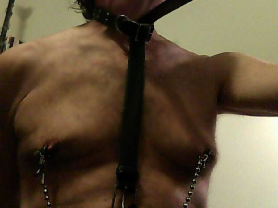 Free porn pics of Sissy Tied balls, slave collar, leash and nipple clamps 8 of 13 pics