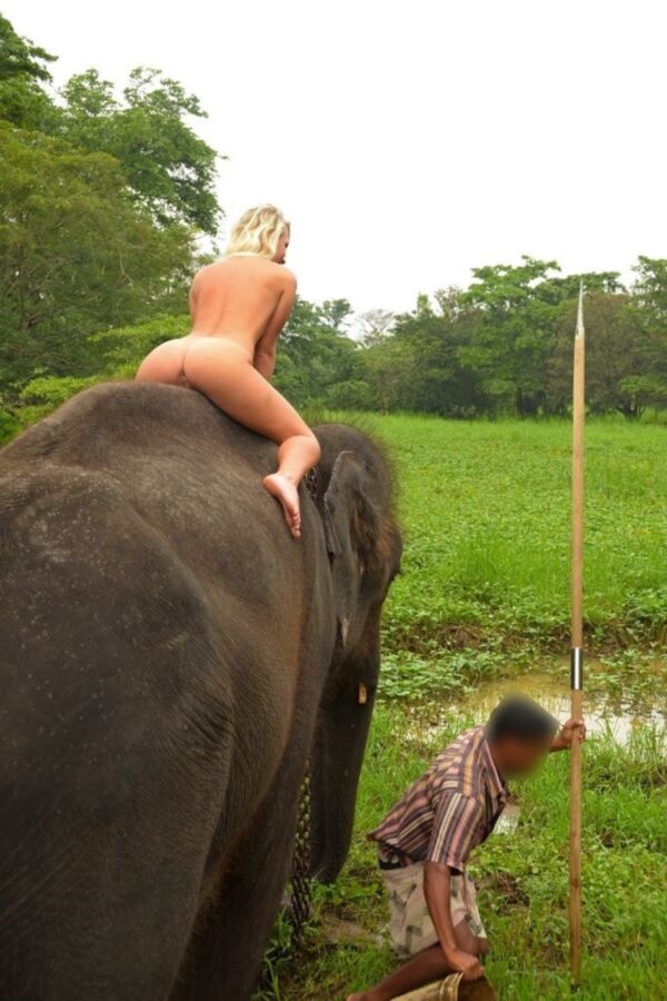 Free porn pics of Nude girl on elephant 6 of 16 pics