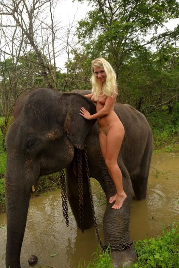 Free porn pics of Nude girl on elephant 16 of 16 pics
