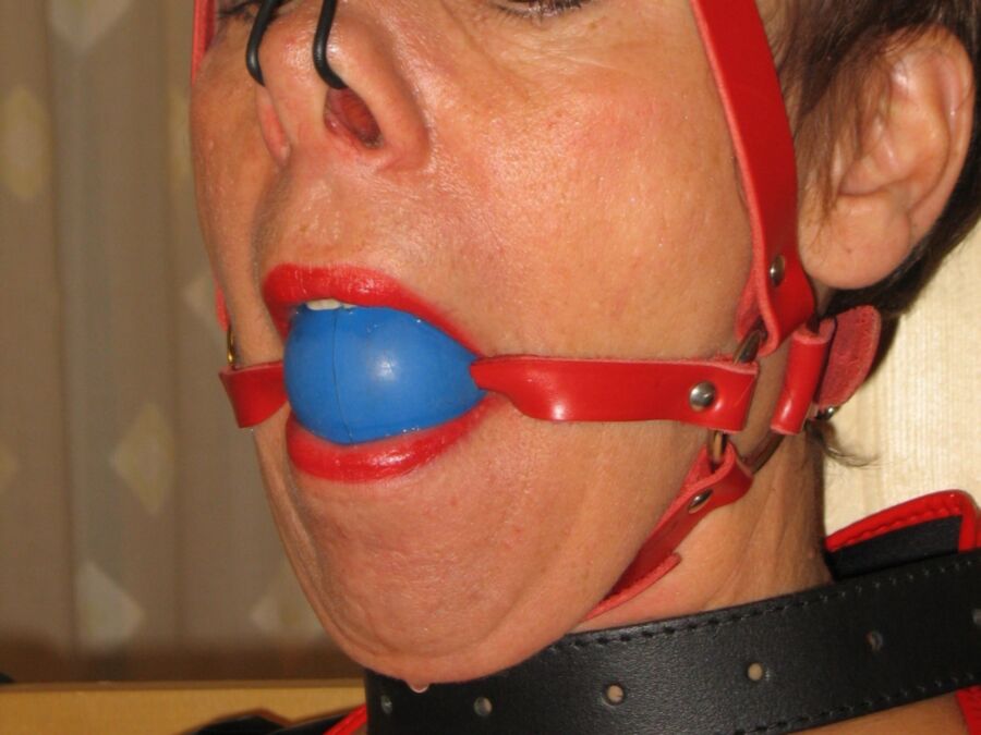 Free porn pics of Slave lotte with nose hook, tit torture with needles and clamps 5 of 24 pics