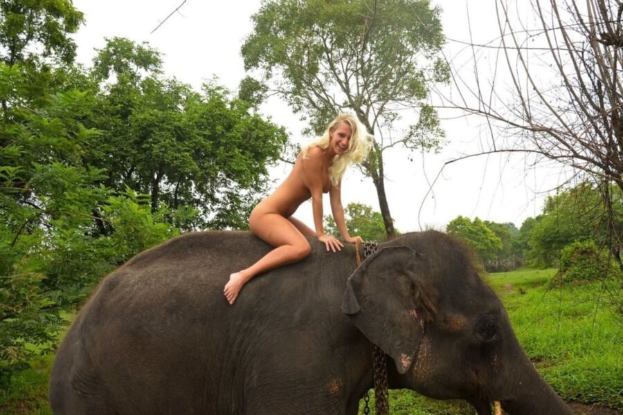 Free porn pics of Nude girl on elephant 2 of 16 pics