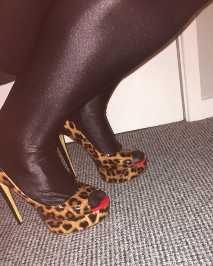 Free porn pics of New Gloss pantyhose, super thick and ready for cum 2 of 14 pics