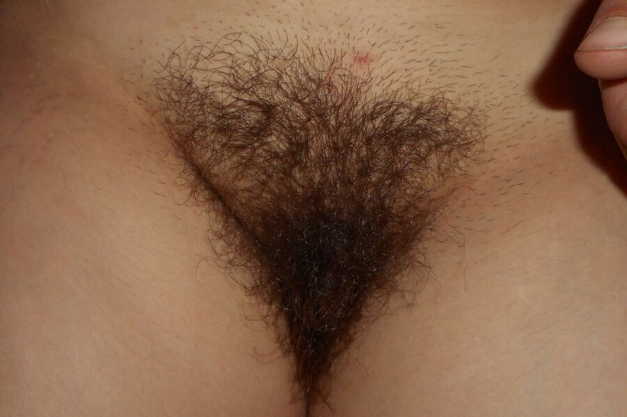 Free porn pics of The hairy pussies of Macha 4 of 8 pics