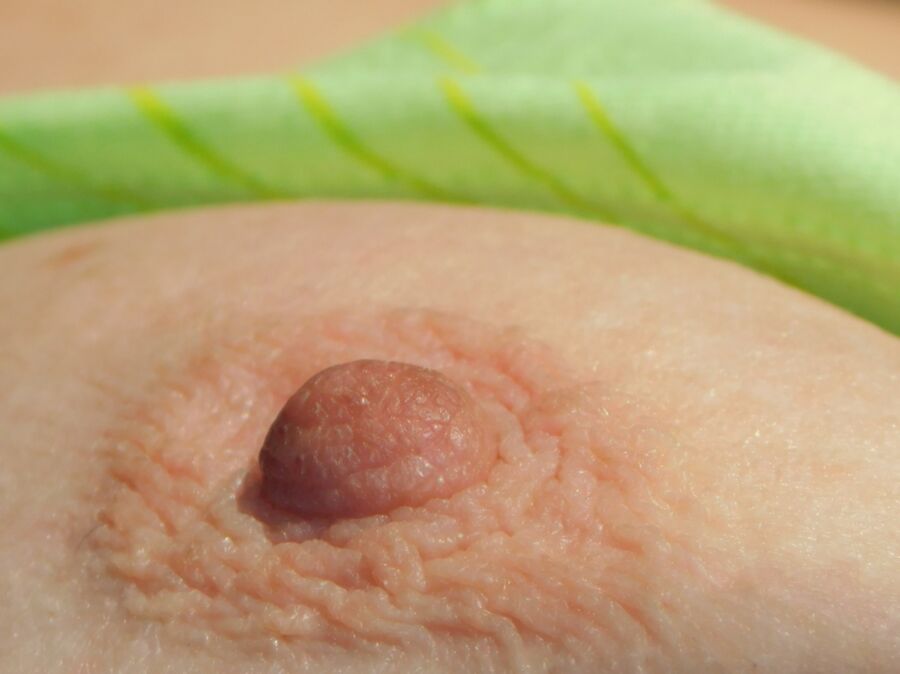 Free porn pics of Close up nipples 2 of 17 pics