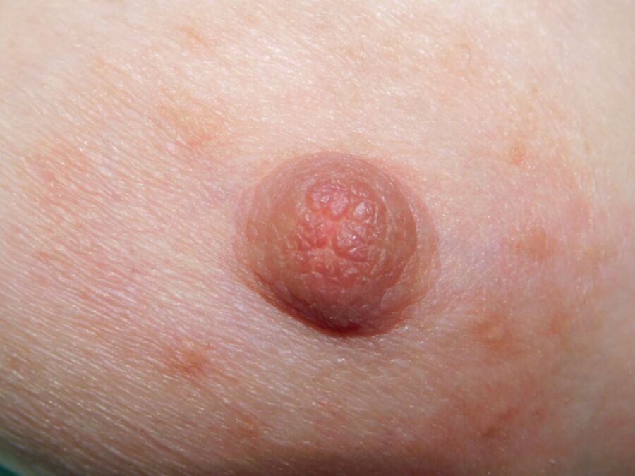 Free porn pics of Close up nipples 13 of 17 pics