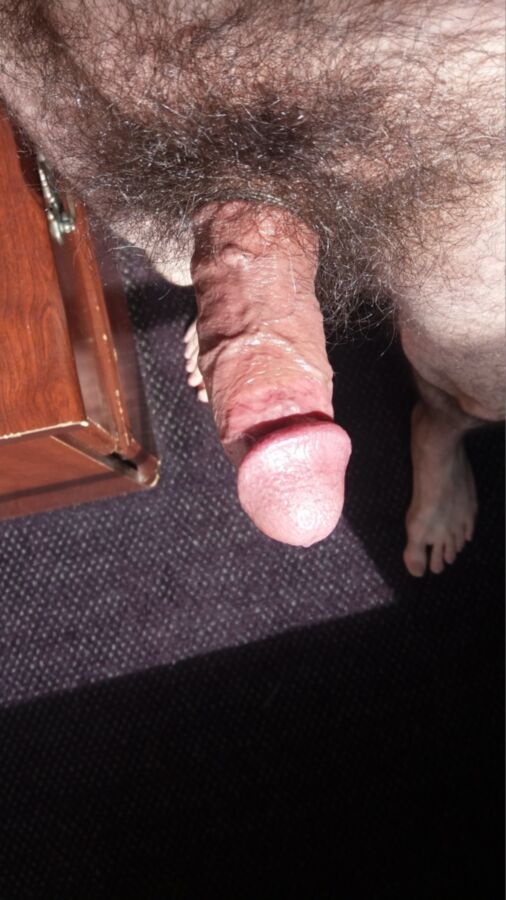 Free porn pics of Standing In The Hotel Room Window Exposing My Hard Hairy Cock 3 of 7 pics