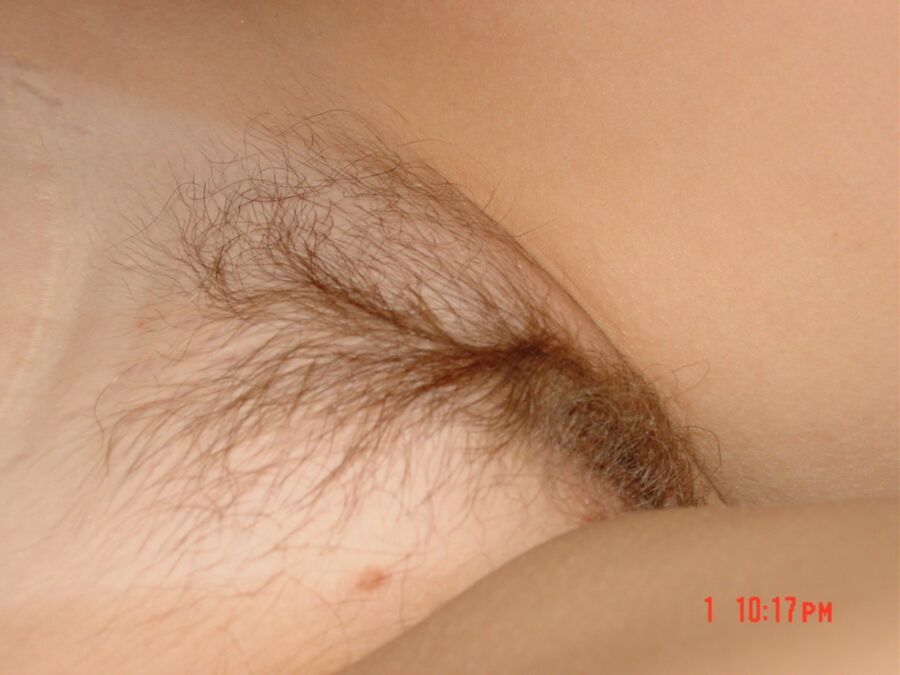 Free porn pics of hairy Diana 4 of 38 pics