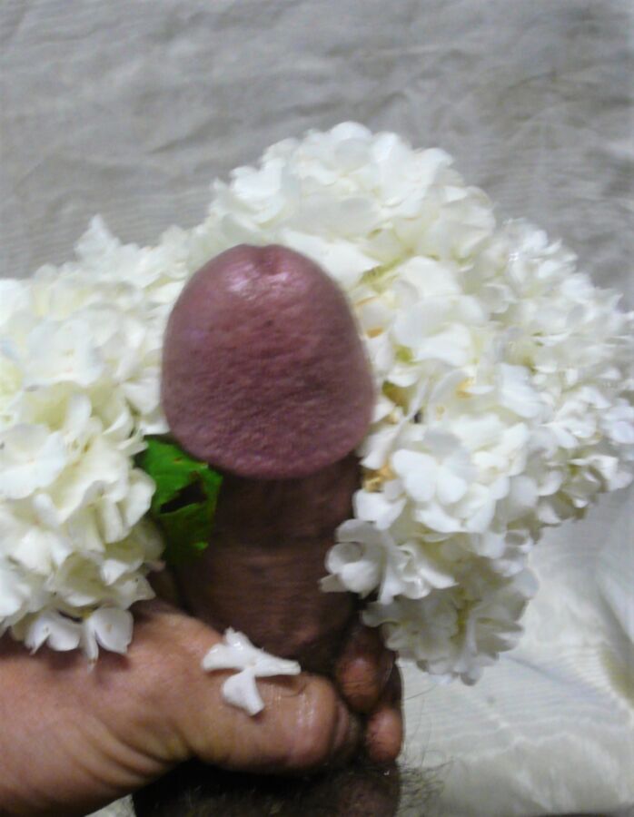 Free porn pics of Spring Bouquets  8 of 11 pics