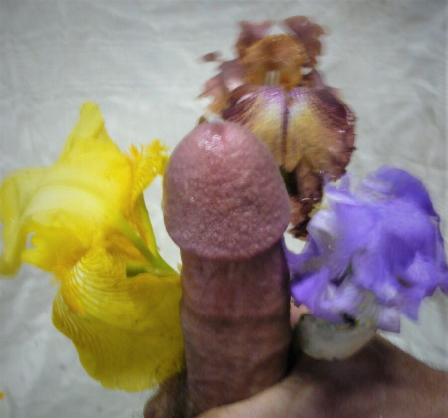 Free porn pics of Spring Bouquets  3 of 11 pics