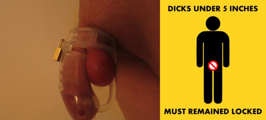 Free porn pics of Chastity (Me) 2 of 8 pics