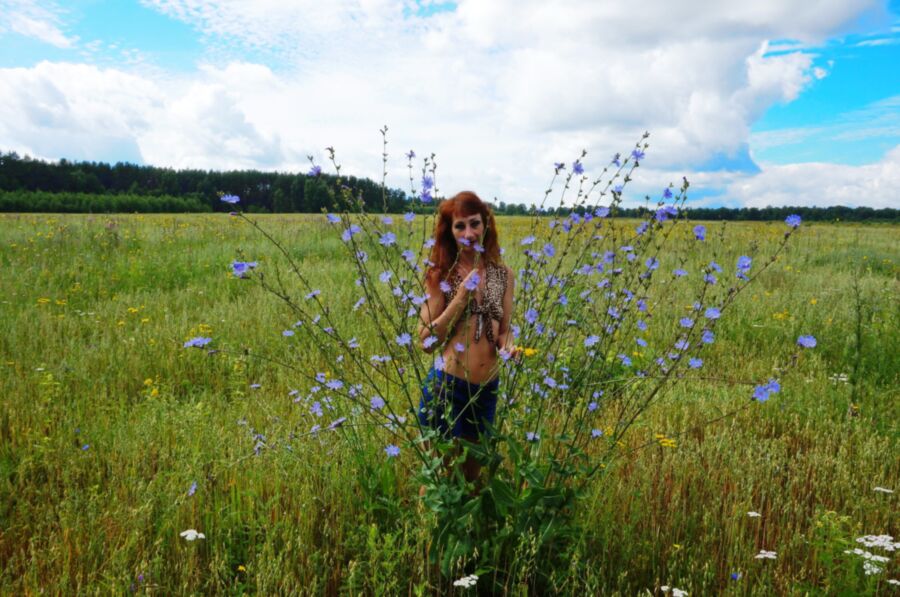 Free porn pics of In spring Field 6 of 16 pics