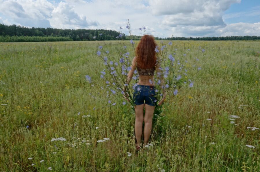 Free porn pics of In spring Field 9 of 16 pics