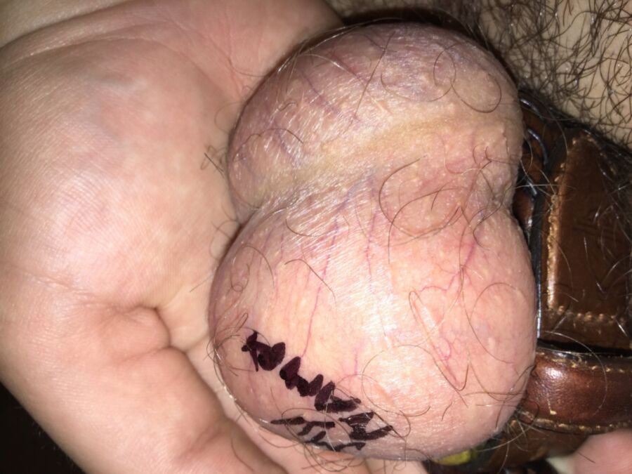 Free porn pics of Tied Plums 16 of 8 pics