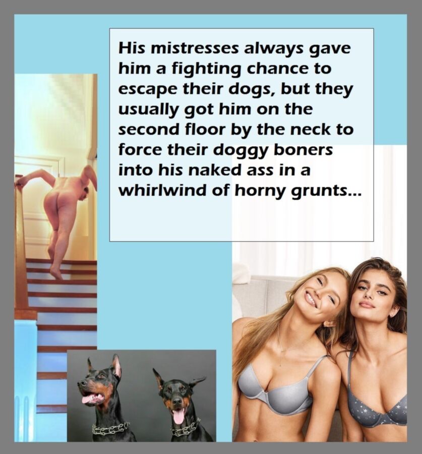 Free porn pics of Captions reposts collection: Cruel femdom girls XVII 9 of 20 pics