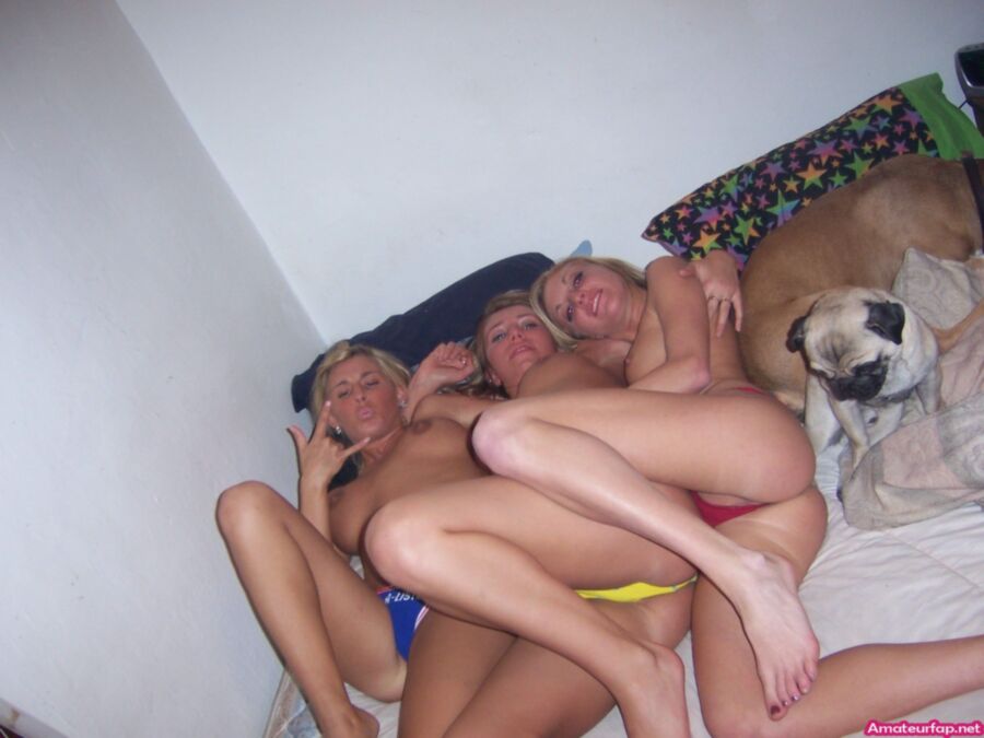 Free porn pics of Three Horny Lesbians Having Fun 2 of 36 pics