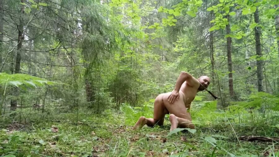 Free porn pics of Russian slut bdsm in the woods 12 of 50 pics