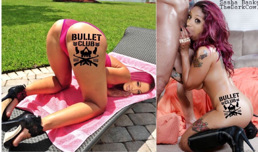 Free porn pics of Bullet Club Branded WWE/TNA women wrestlers (fakes web found) 14 of 18 pics