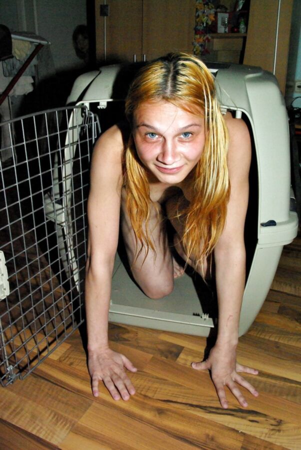 Free porn pics of Ossi-Stuten Tina H + Katja B in einer Tierbox 17 of 55 pics