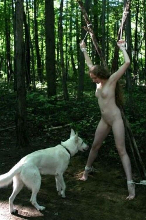 Free porn pics of Tied Up and Left in the Woods 23 of 89 pics