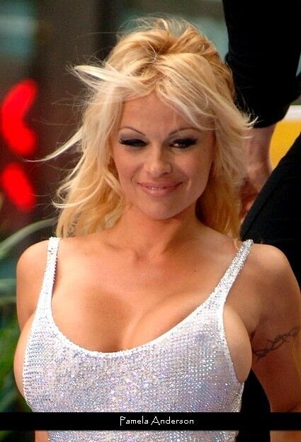Free porn pics of Pamela Anderson 7 of 26 pics