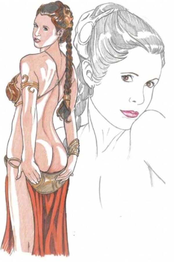 Free porn pics of Star Wars-Variations On A Theme 7 of 24 pics