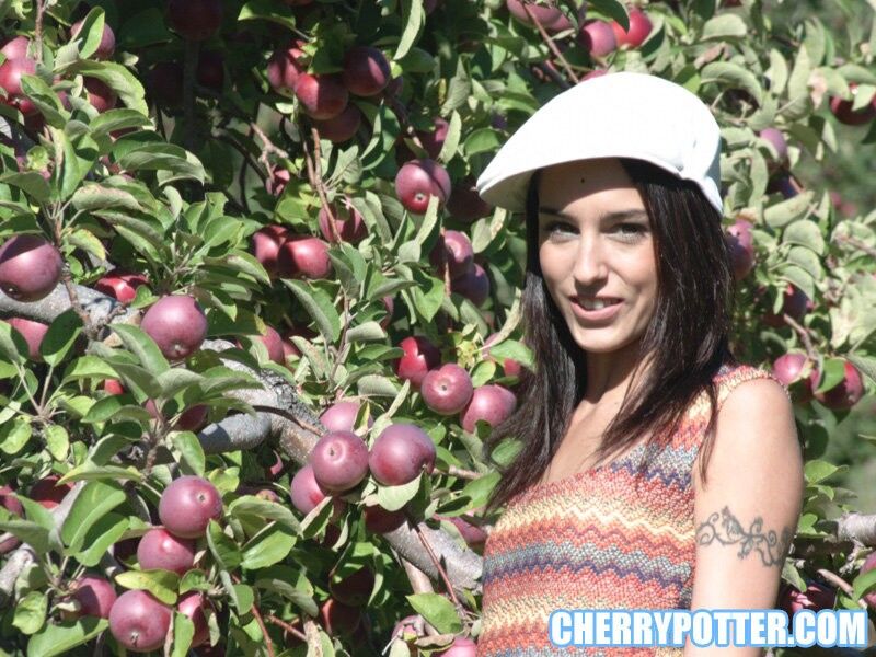 Free porn pics of Cherry Petite stripping while apple picking 1 of 80 pics