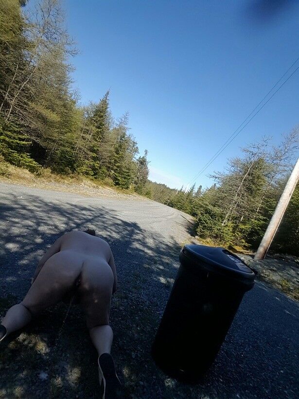 Free porn pics of Pig pissing outdoors 1 of 32 pics